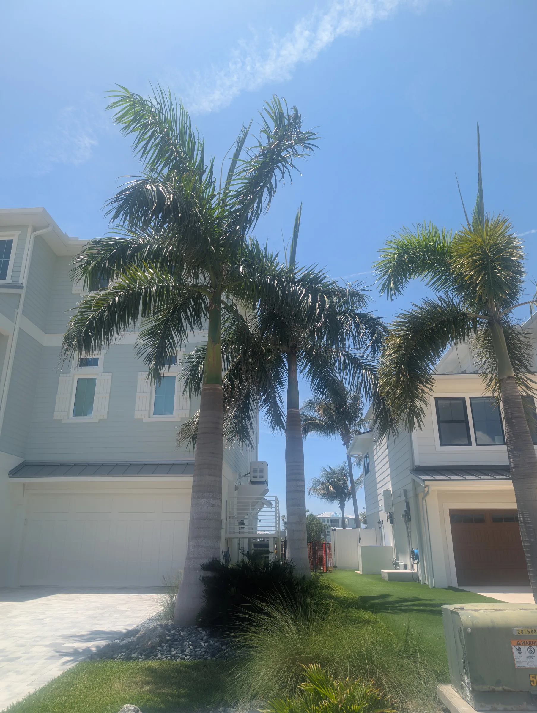 Tall palm trees with green fronds in front of modern white residential homes under blue sky.